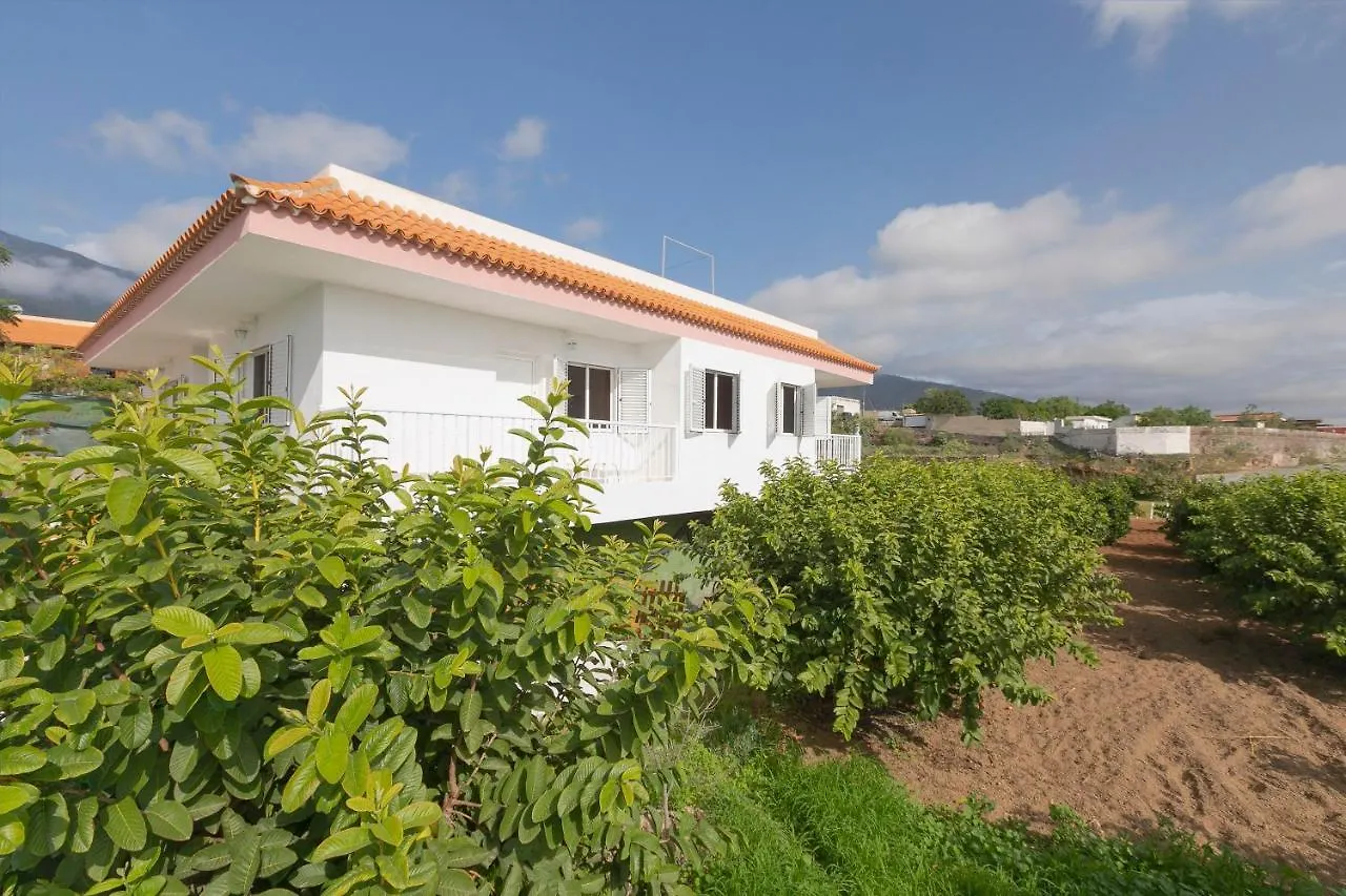 Clemente House,Private Pool Villa Arafo Spain
